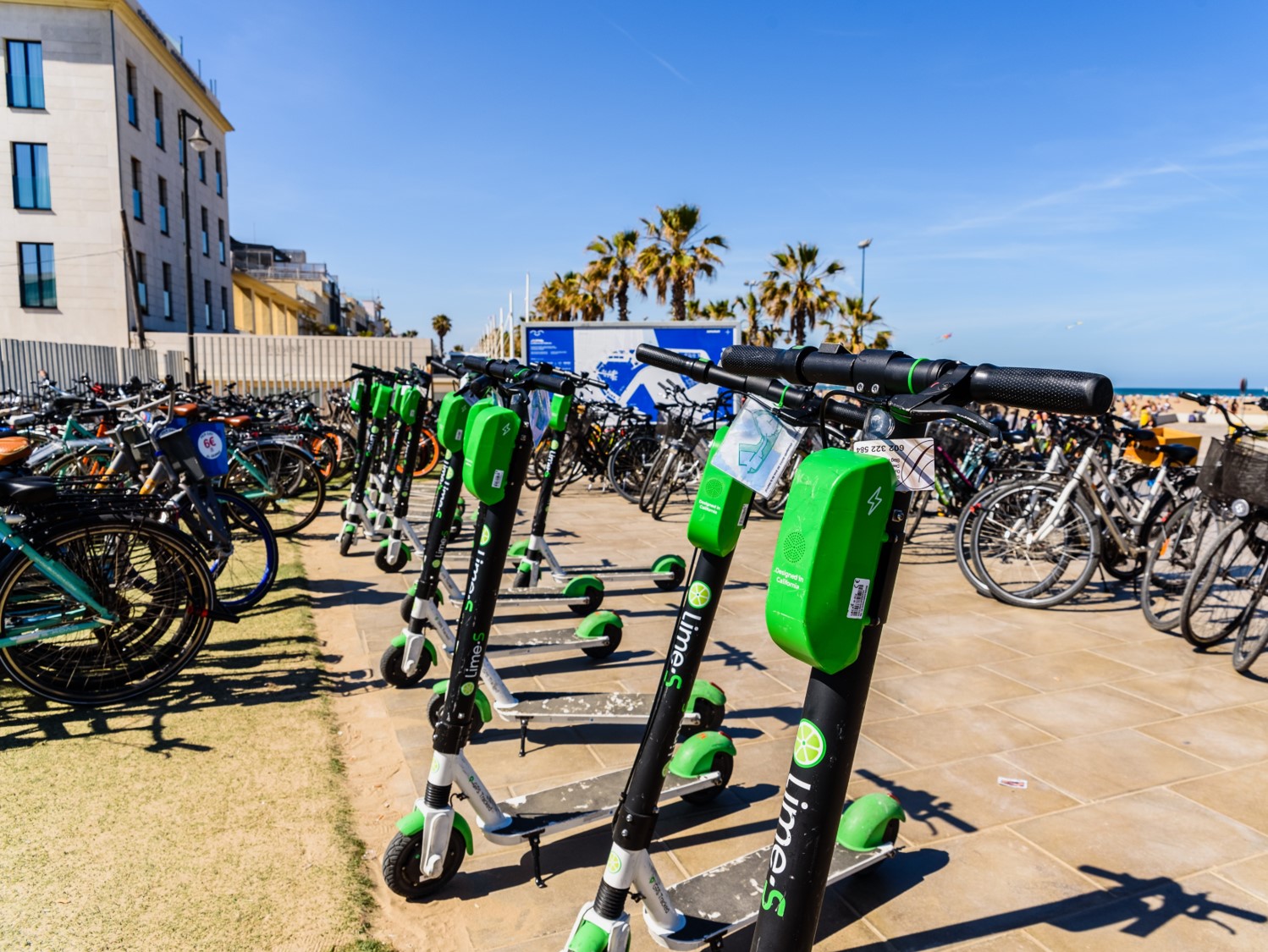 자전거 인도주행 처벌