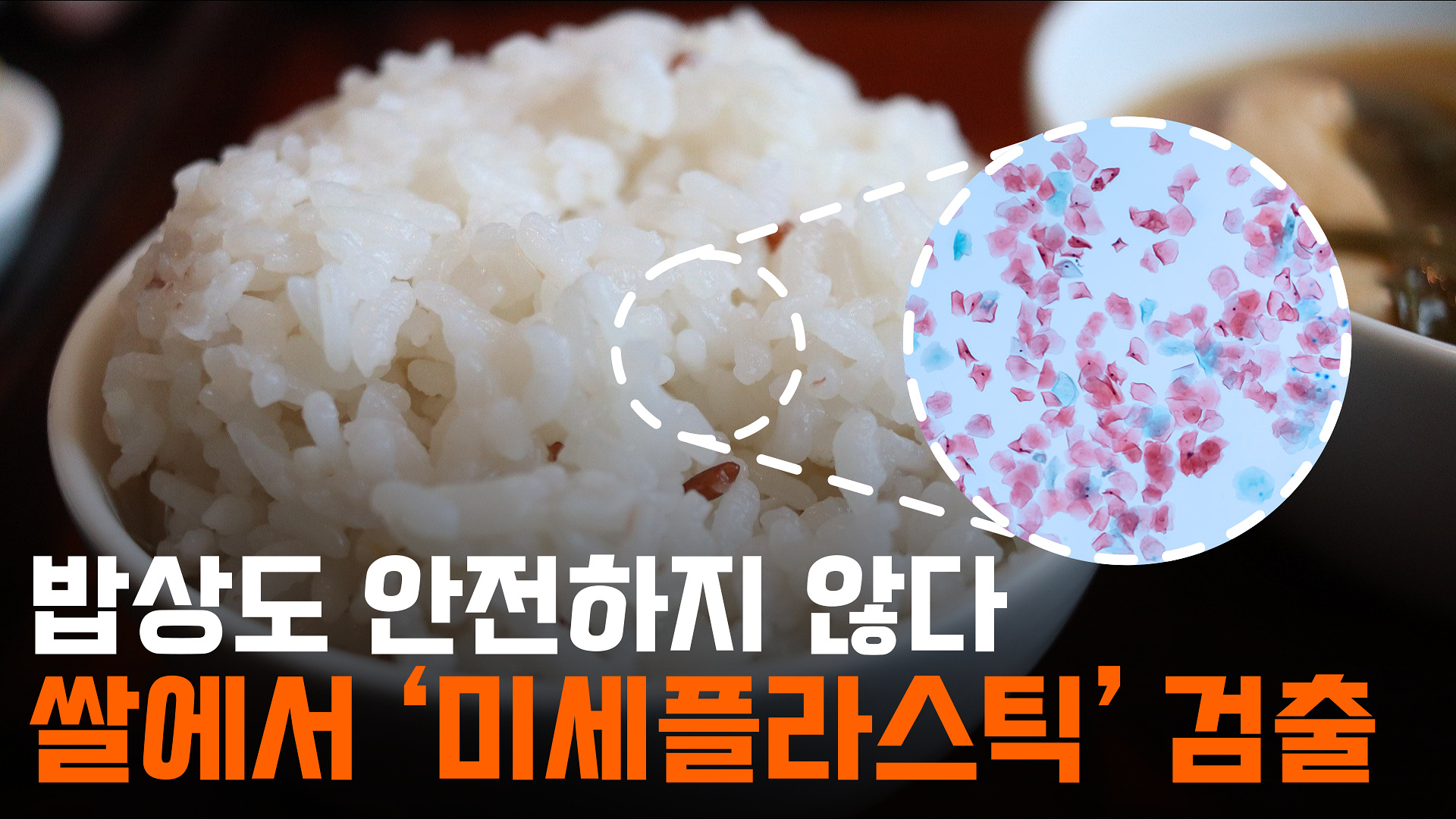 [영상]쌀에서 '미세플라스틱' 검출...즉석밥은 일반쌀의 4배
